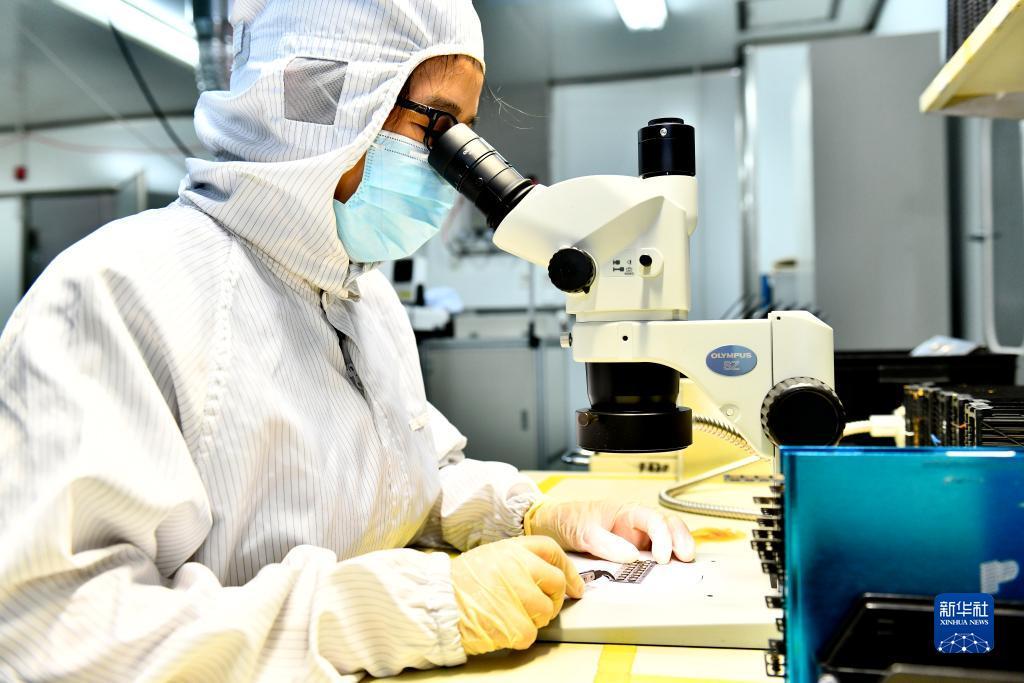 牛牛金花游戏下载